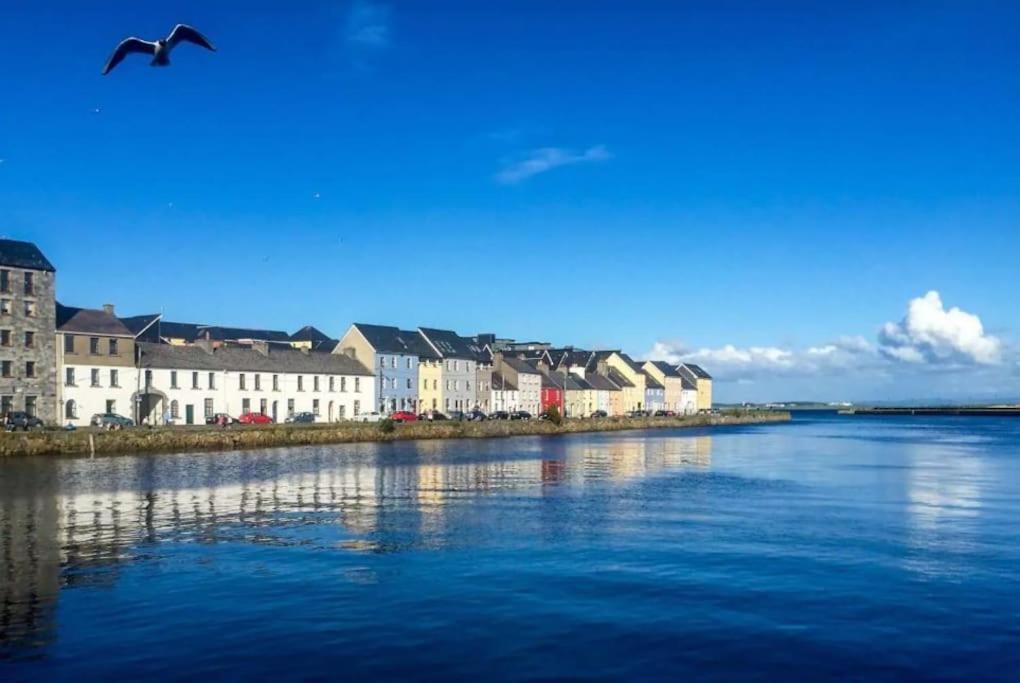 Centre Escape With Large Terrace, Sleeps 7 Apartment Galway